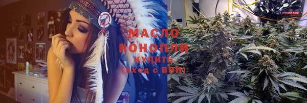 гашик Пересвет
