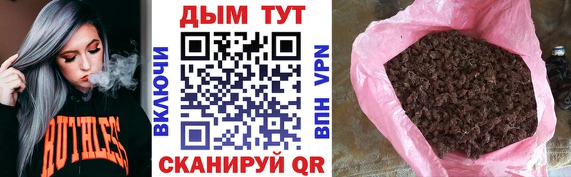Шишки марихуана марихуана  Верея 